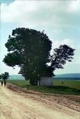 1988 р. 14 червня. Фото М.І.Жарких. Слайдотека. 1988 р. Загальний вигляд